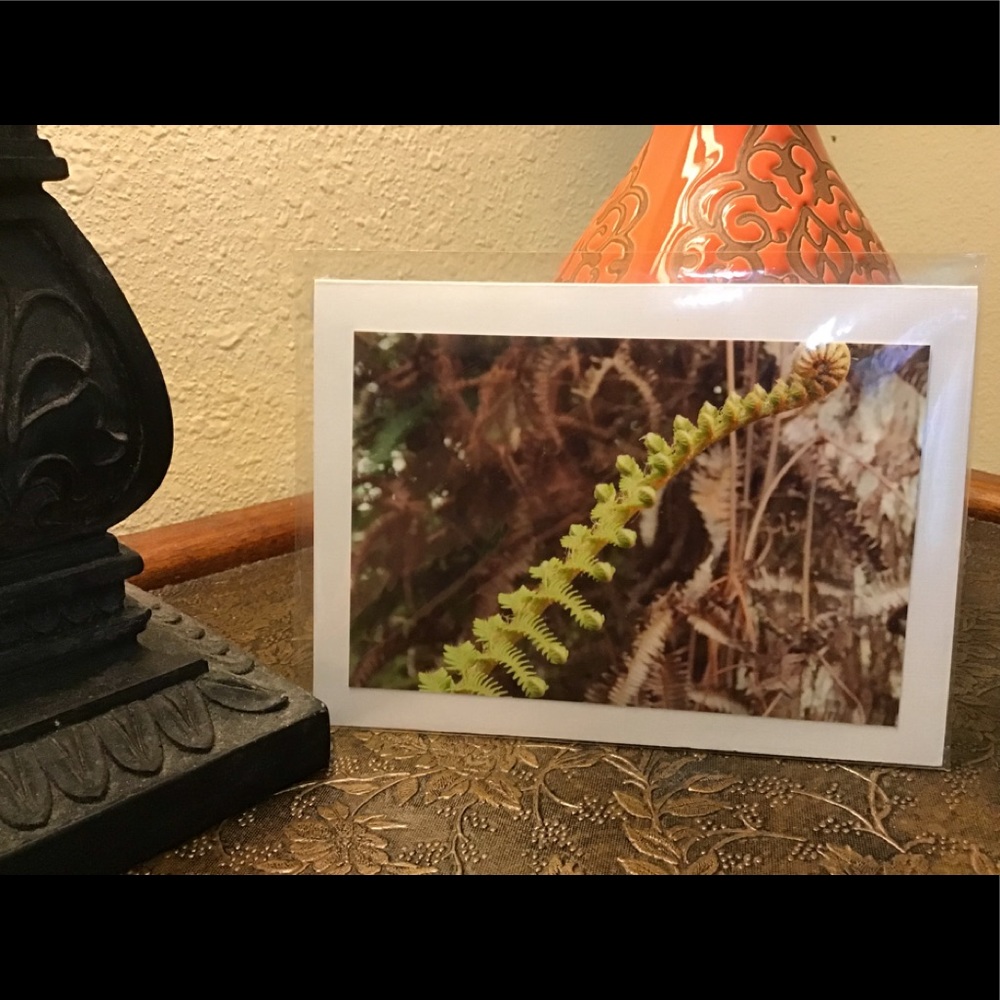 Hapu’u Fiddlehead in the Jungle, Keanu Malone